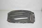 Ziergitter BMW 1er (F40) 51117459716