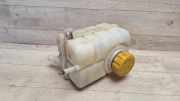 AUSGLEICHSBEHÄLTER KÜHLWASSER CHEVROLET AVEO Hatchback (T250, T255) 1.2 LPG 96815542