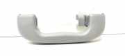 Griff Panoramadach Opel Ampera (D1JOI)
