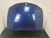 Motorhaube BMW 1er (E81) 41627162102