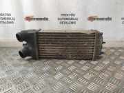 Ladeluftkühler CITROËN BERLINGO (K9) 1.6 BlueHDi 75 9645965180