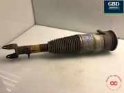 Gasdruckfeder Tesla Model S (5YJS) 600635100C