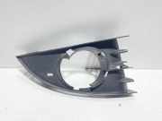 Gitter Grill vorne rechts RENAULT GRAND SCÉNIC II (JM0/1_) 1.5 dCi P0009512