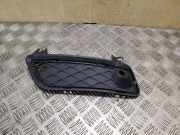 Gitter vorne unten BMW X3 (F25) xDrive 20 d 7249595 51117249595