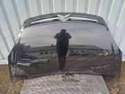 Motorhaube CITROËN XSARA PICASSO (N68) 1.6 HDi