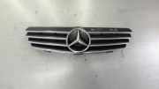 Vorderer oberer Gitter MERCEDES-BENZ CLK (C209) 270 CDI (209.316) A2098800023