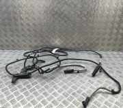 Anzeige Blauer Schlauch BMW X5 (G05) xDrive 30 d Mild-Hybrid 7498809