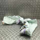 SRS Modul Dach links AUDI A5 (F53) 2.0 TDI quattro 8W6880741H