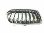 Vorderer oberer Gitter BMW X2 (F39) X2 xDrive20i 7424777