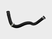 Entlüftungsschlauch ALFA ROMEO 166 (936_) 2.4 JTD 55183261