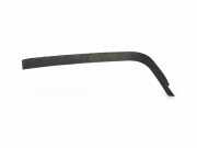 Schwellerverkleidung vorne links NISSAN PATHFINDER III (R51) 2.5 dCi 4WD 769B5EB000