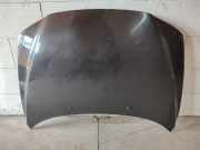 Motorhaube Volvo S60 I (384)