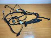 Kabel Tür BMW 1er (F40) 12493110