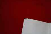 Spoiler hinten Ford Focus II Cabriolet (DB3) BM51A44210B