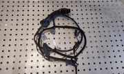 Kabel Tür Ford Transit Connect (P*2) DV6T14A584