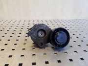 Riemenspanner AUDI A8 D4 (4H_) 3.0 TDI quattro 059903133F