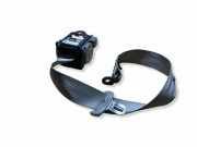 Mittlerer Sicherheitsgurt hinten AUDI A8 D4 (4H_) 3.0 TDI quattro 306861099T2