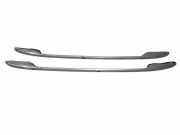 Dachgriff hinten links