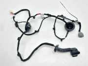 Türverkabelung hinten rechts KIA NIRO E-NIRO 2110A 91630