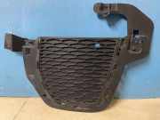 Gitter vorne unten LAND ROVER RANGE ROVER EVOQUE (L538) 2.2 D 4x4 GJ3215A299B