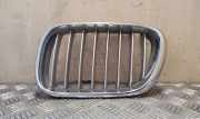 Kühlergrill komplett BMW X5 (E53) 51138247673
