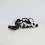 Türverkabelung hinten links VW PASSAT B6 (3C2) 2.0 TDI 3C4971694JM