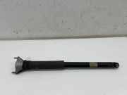 Stoßdämpfer hinten links MERCEDES-BENZ A (W177) A 200 (177.087) A1773206303