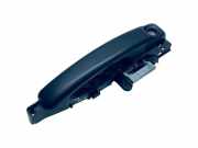 Türaußengriff links RENAULT MASTER III Furgon (FV) 2.3 dCi 150 FWD 806073022R