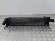 Ladeluftkühler FORD FOCUS IV (HN) 1.0 EcoBoost 3M5H9L440AE