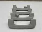 Dachgriffset (innen) AUDI Q8 E-TRON Sportback 55 quattro