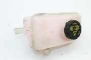 Ausgleichsbehälter MG MG 4 (EH32) EV 10985229