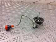 Xenon-Lampe LAND ROVER RANGE ROVER EVOQUE (L538) 2.2 D 4x4 66340HBI