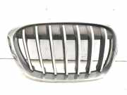 Kühlergrill oben BMW X1 (F48) 7354824