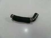 Schlauch Kühlung PEUGEOT EXPERT Furgon 2.0 BlueHDi 120