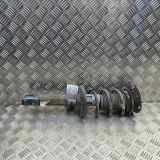 Stoßdämpfer vorne rechts VW GOLF VIII (CD1) 2.0 TSI R 4motion 5WA413031BD 5WA412022HK