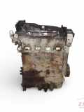 Motor VW CADDY III Furgon (2KA, 2KH, 2CA, 2CH) 1.6 TDI CAY CAYE