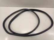 Türdichtung BMW 1er (F40)