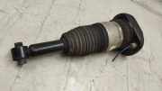 Stoßdämpfer hinten links BMW 5 Touring (G31) 530 d 76688282605