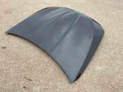 Motorhaube BMW 5er (F10)