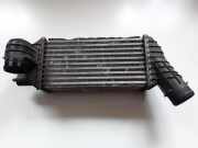 Ladeluftkühler CITROËN DS5 2.0 BlueHDi 150 9673015780