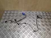 Kabel der vorderen linken Tür VW PASSAT Variant B8 (3G5) 1.6 TDI 3G2971557F