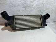 Ladeluftkühler CITROËN C5 II Break (RE_) 2.0 HDi (RERHRH) 9645682880