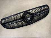 Vorderer oberer Gitter MERCEDES-BENZ GLC (X253, C253) 220 d 4-matic (253.905) 2058880400