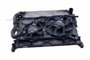 Kühler Renault Trafic III Kasten (FG) 214816680R