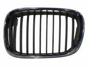 Gitter Grill vorne links BMW 5 Touring (E39) 530 d 8184531