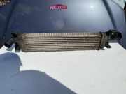 Kühlerluftumlenker FORD FOCUS II (DA_, HCP) 1.6 TDCi 4N5H9L4