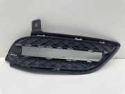 Gitter vorne unten MERCEDES-BENZ B (W246, W242) Electric Drive / B 250 e (242.890) A2468850722