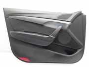 Türverkleidung vorne links