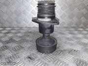 Riemenscheibe für Generator Ford Focus Stufenheck (DFW)