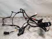 Kabel Tür Hyundai iX35 (LM)
